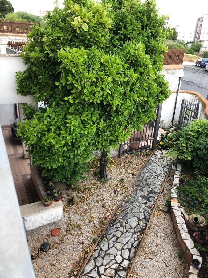 B&B San Liborio Civitavecchia Luaran gambar